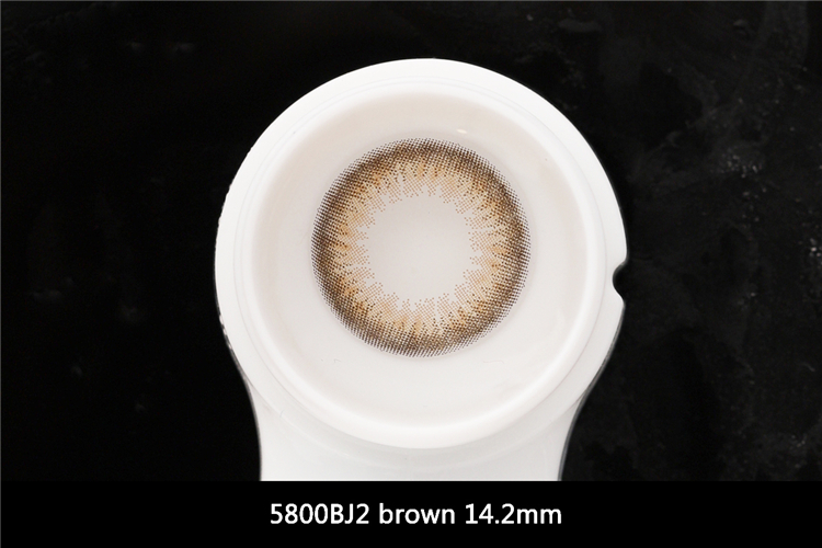 5800BJ2 brown 镜片_副本.jpg